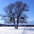 DSCN0159.JPG