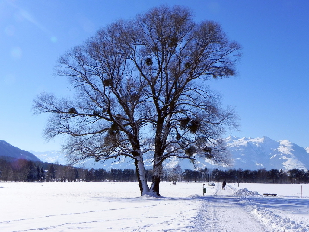 DSCN0159.JPG