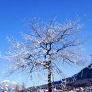 DSCN0160.JPG