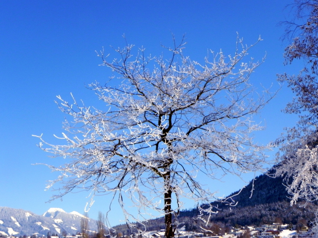 DSCN0160.JPG