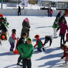IMG_7359_jpg-1360507513