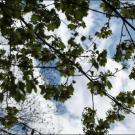 Natur Pur