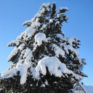Winterbilder 006_JPG-1360517853