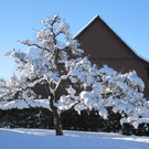 Winterbilder 007_JPG-1360517904