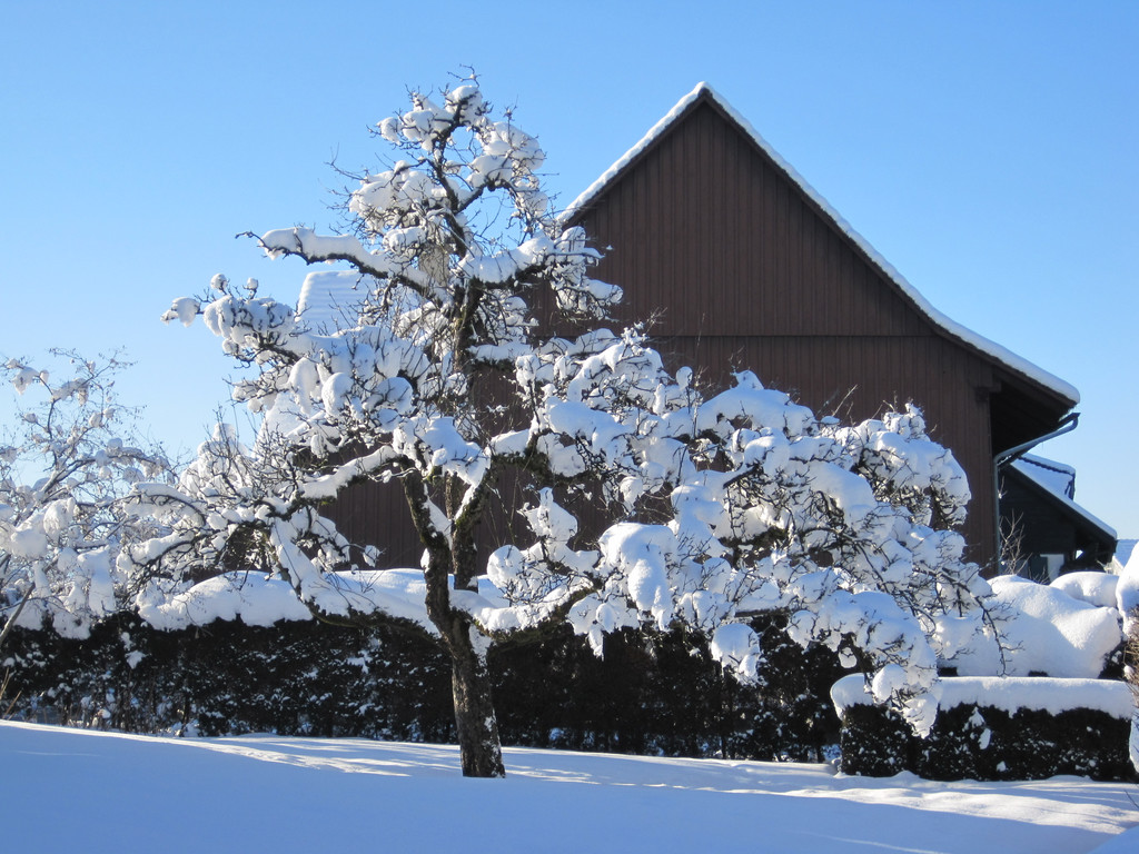 Winterbilder 007_JPG-1360517904