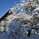 Winterbilder 008_JPG-1360517962