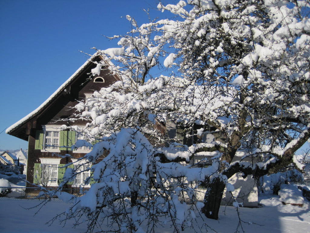 Winterbilder 008_JPG-1360517962