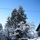 Winterbilder 011_JPG-1360518066