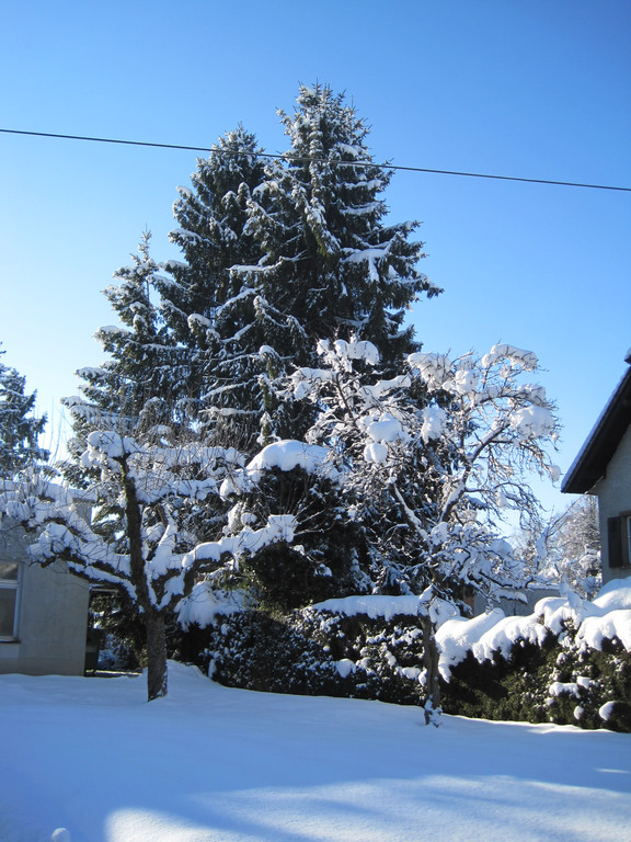 Winterbilder 011_JPG-1360518066