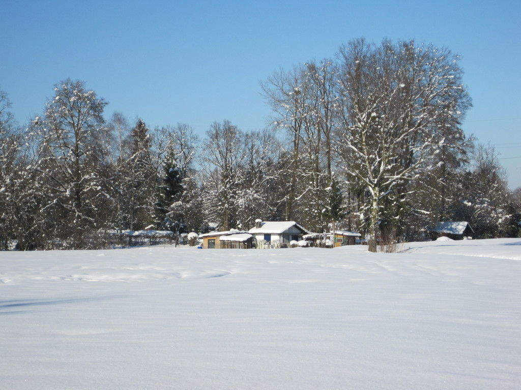 Winterbilder 042_JPG-1360518211