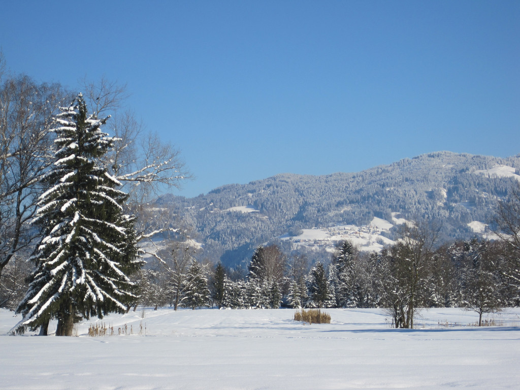 Winterbilder 043_JPG-1360518264