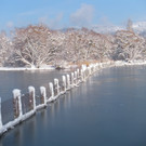 Lochau.....mit Schnee und Sonne