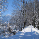 Winterbilder 013_JPG-1360518613