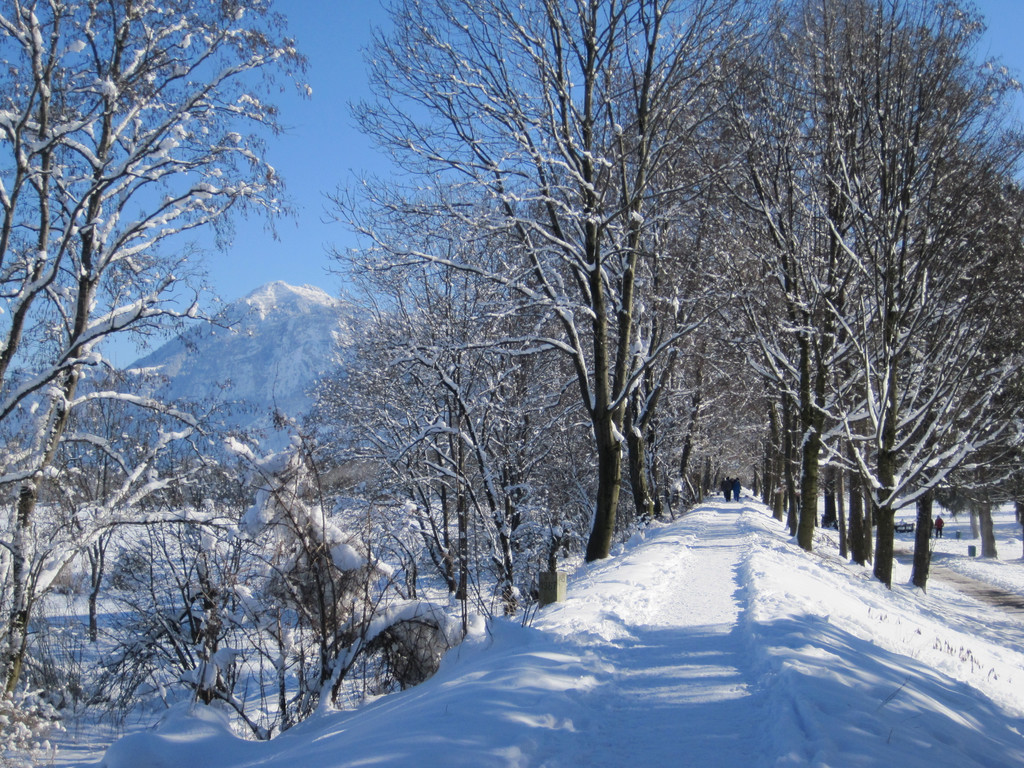 Winterbilder 013_JPG-1360518613