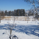 Winterbilder 014_JPG-1360518691