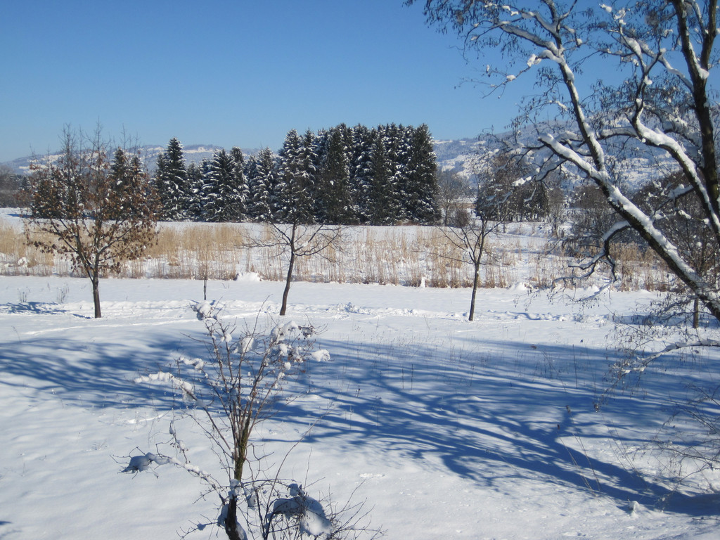 Winterbilder 014_JPG-1360518691