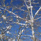 Winterbilder 019_JPG-1360518848
