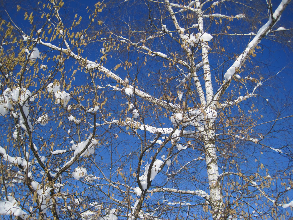Winterbilder 019_JPG-1360518848