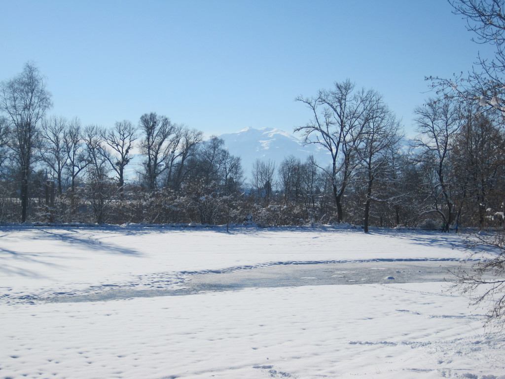 Winterbilder 020_JPG-1360518900