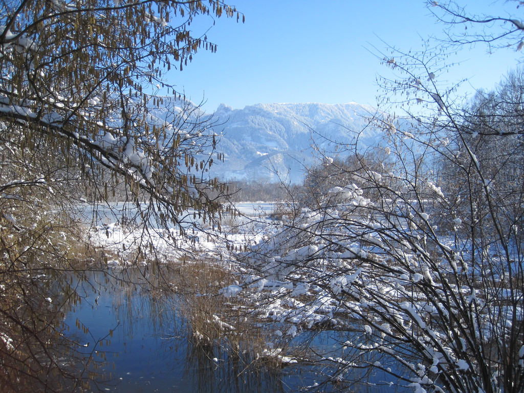 Winterbilder 024_JPG-1360519024