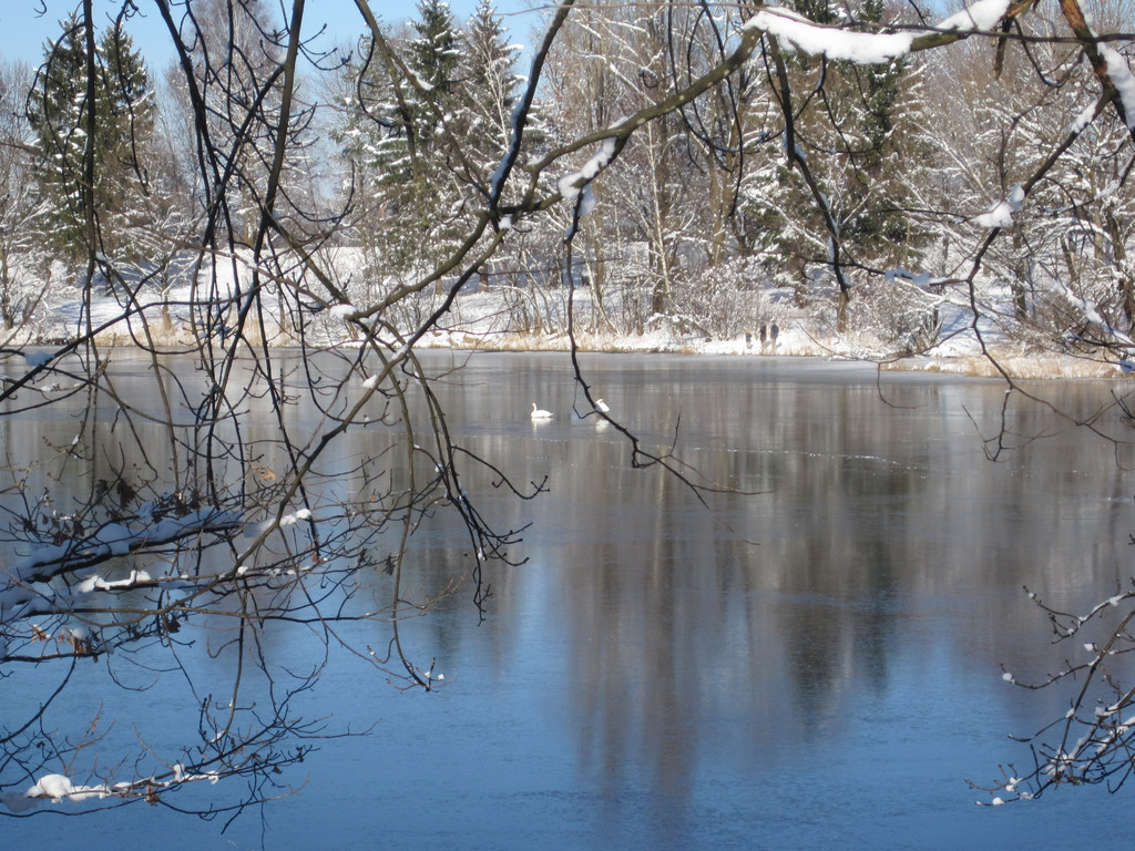 Winterbilder 026_JPG-1360519152