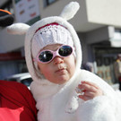 IMG_9493_JPG-1360521089