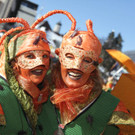 IMG_9500_JPG-1360521098