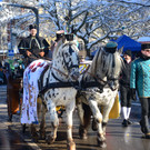 DSC_1121_jpg-1360518829