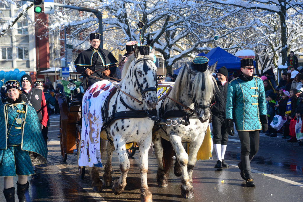 DSC_1121_jpg-1360518829