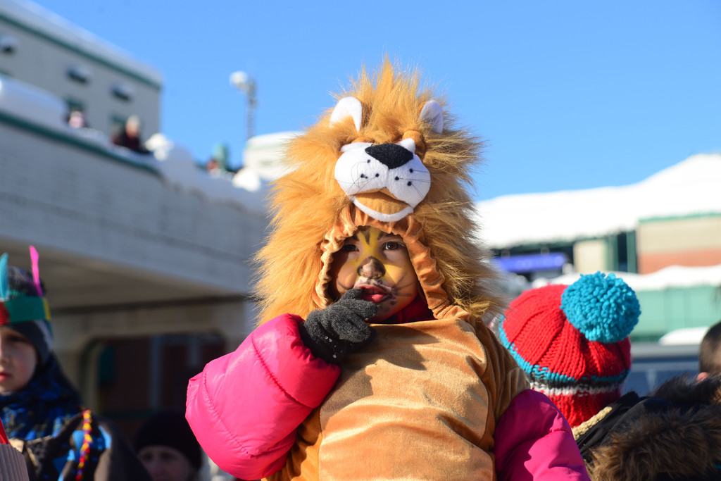 DSC_1139_jpg-1360518984