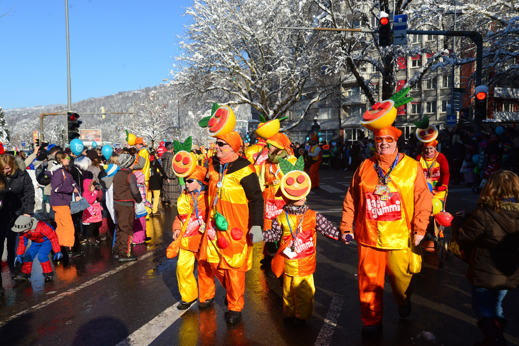 DSC_1238_jpg-1360520160