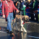 DSC_1271_jpg-1360520392