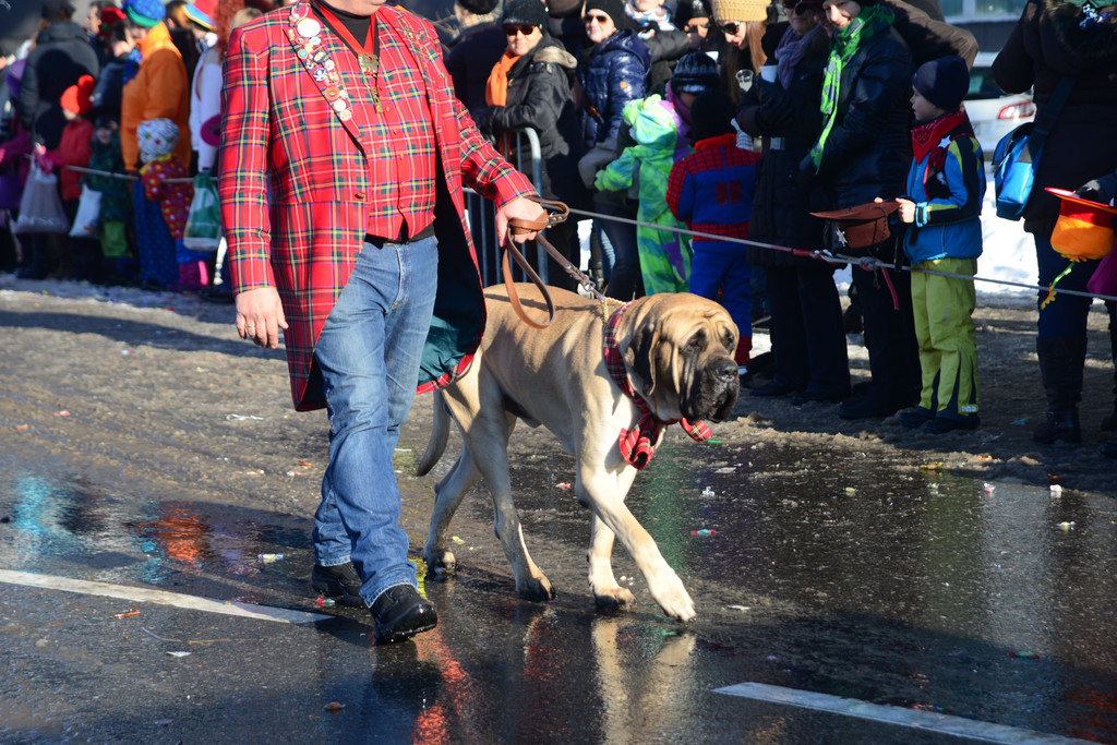 DSC_1271_jpg-1360520392