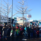 DSC_1273_jpg-1360520416