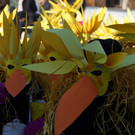 DSC01563.JPG