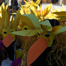 DSC01563_JPG-1360527887