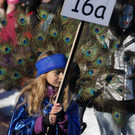 DSC01629_JPG-1360528232