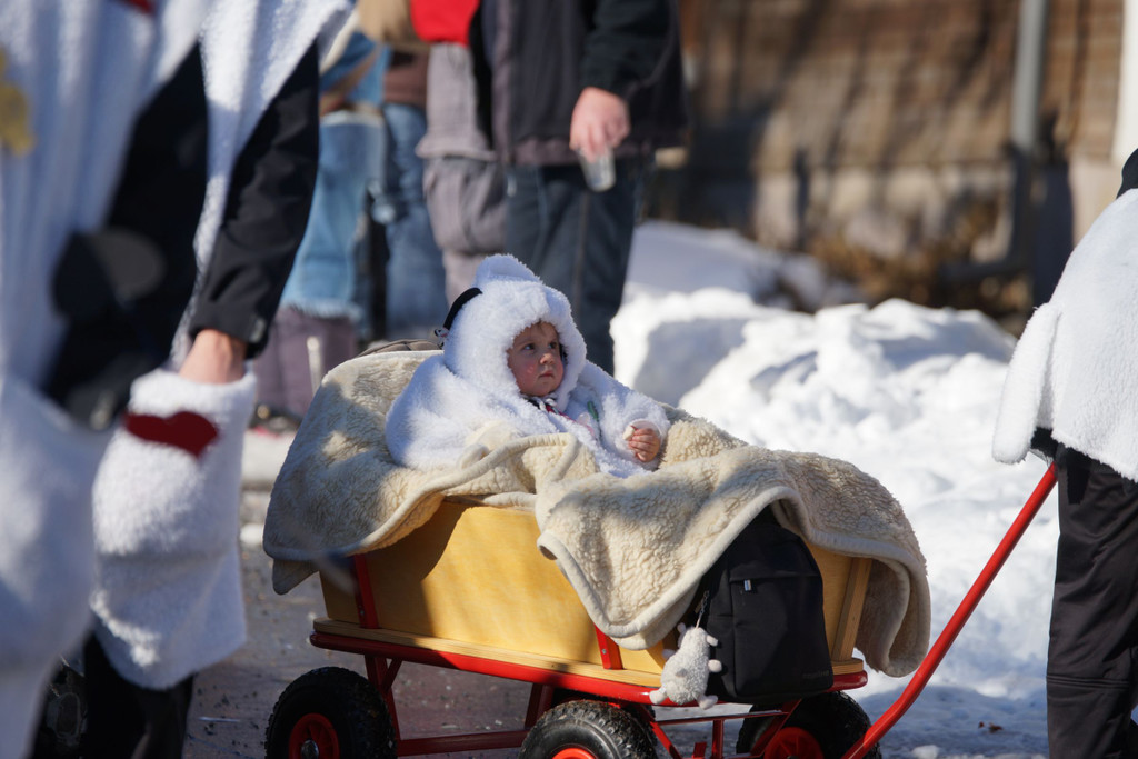 DSC01665_JPG-1360528421