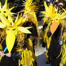 DSC01764_JPG-1360528974