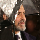 IBD0102-20130211.jpg