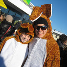 grilla_jpg 216_jpg-1360569823