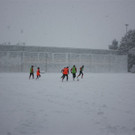 IMG_2559_JPG-1360570922