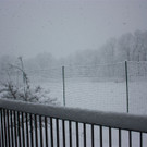 IMG_2619_JPG-1360571262