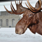 DSC_0060a-1.jpg