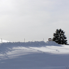 Furx ein Wintertraum