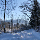 IMG_7025_jpg-1360575771
