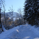 IMG_7048_jpg-1360575833