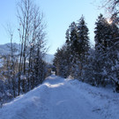 IMG_7052_jpg-1360575849