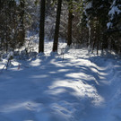 IMG_7081_jpg-1360575895