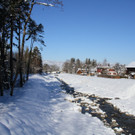 IMG_7110_jpg-1360575998